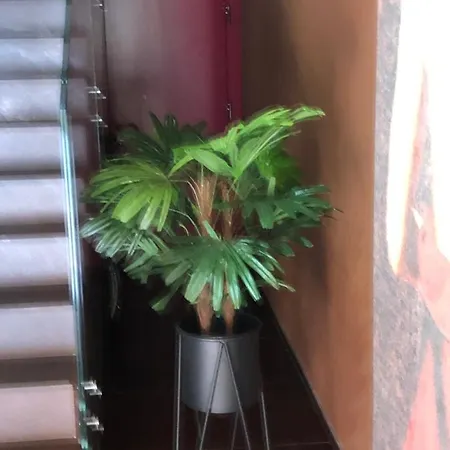 Al Sagraeto 4* Chioggia